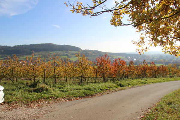Bild vergrößern: Herbstlandschaft Igensdorf