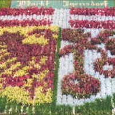 Bild vergr&ouml;&szlig;ern: Blumenwappen
