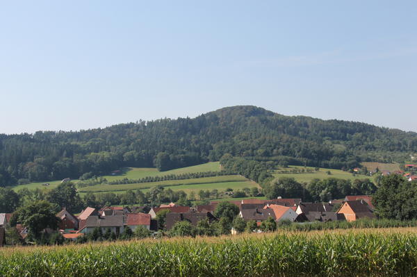 Bild vergr&ouml;&szlig;ern: Dachstadt
