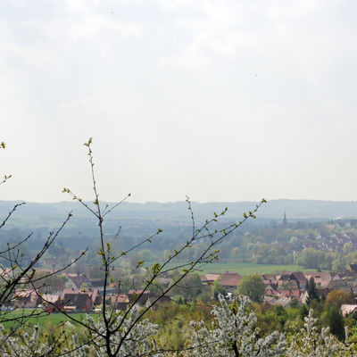 Bild vergrößern: Blick auf Igensdorf und Mitteldorf vom Eberhardsberg whrend der Kirschblte